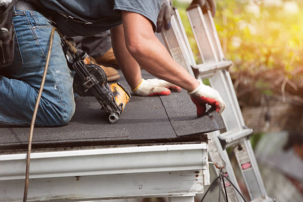 Best Shingle Roofing Installation  in Red Lake, MN