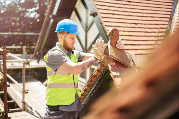 Best Roof Leak Repair  in Red Lake, MN